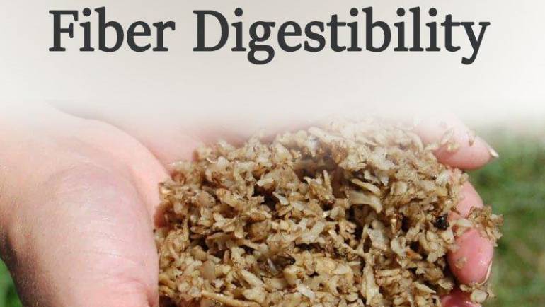 1-Fiber Digestibility