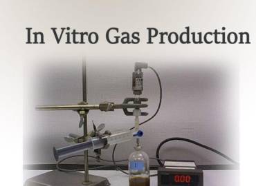 2-In Vitro Gas Production